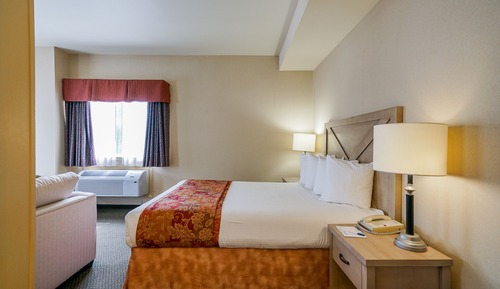 Standardzimmer, 1 Queen-Bett, Nichtraucher, Mikrowelle (Pet Friendly)