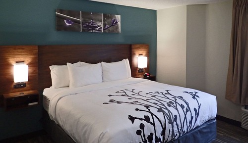 Zimmer, 1 King-Bett, barrierefrei, Nichtraucher (Roll-In Shower)