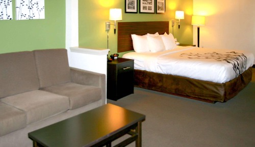 Suite, 1 King-Bett und Schlafsofa, Nichtraucher