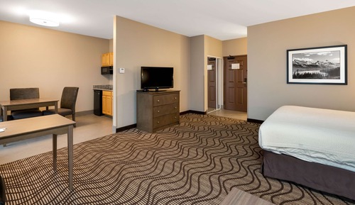 Standardzimmer, 1 King-Bett, Nichtraucher, Küche (with Sofabed)