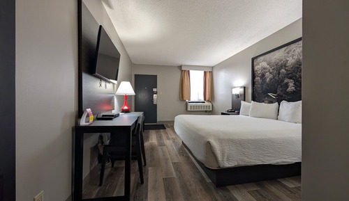 Zimmer, 1 King-Bett, Nichtraucher (Pet Friendly)