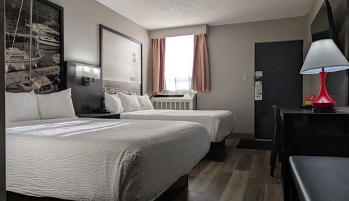 Zimmer, 2 Queen-Betten, Nichtraucher (Pet Friendly)