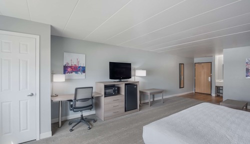 Suite, 1 King-Bett, Nichtraucher, Kühlschrank und Mikrowelle (with Sofabed)