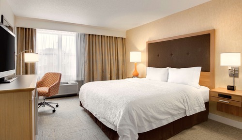 Zimmer, 1 King-Bett, Nichtraucher, Kühlschrank (Shower Only)