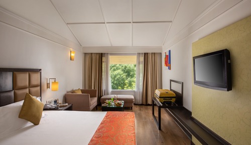 Orchard View Room