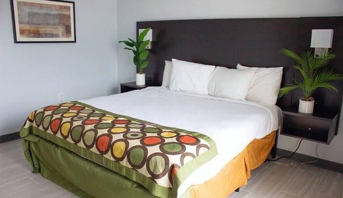 Deluxe-Suite, 1 King-Bett und Schlafsofa, Meerblick