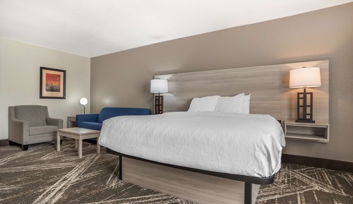 Standardzimmer, 1 King-Bett, Nichtraucher (with Sofabed)