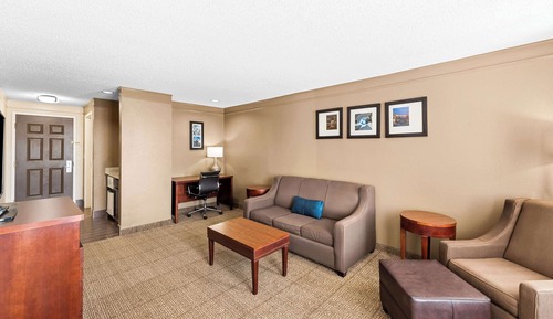 Suite, 1 King-Bett und Schlafsofa, Nichtraucher (Efficiency)