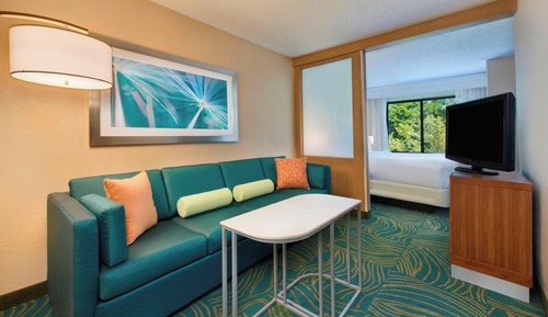 Suite, 1 King-Bett und Schlafsofa, Nichtraucher