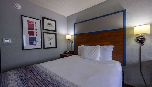 Zimmer, 1 Queen-Bett, Nichtraucher (Pet-Friendly)