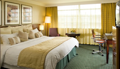 Premium-Zimmer, 1 King-Bett