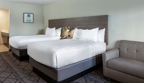 Studiosuite, 2 Doppelbetten, barrierefrei, Nichtraucher (Mobility, Roll-in Shower)