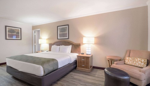 Suite, 1 King-Bett und Schlafsofa, Nichtraucher