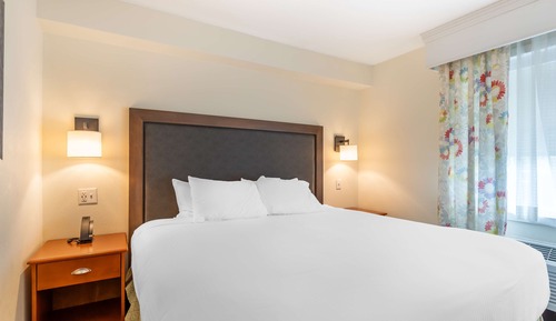 Executive-Suite, 1 King-Bett, Nichtraucher, Kühlschrank und Mikrowelle (with Sofabed)