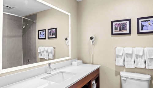 Suite, 1 Queen-Bett, Nichtraucher