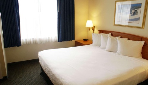 Studiosuite, 1 King-Bett, Nichtraucher