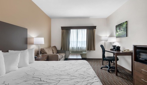 Standardzimmer, 1 King-Bett und Schlafsofa, barrierefrei, Nichtraucher (with Sofabed)