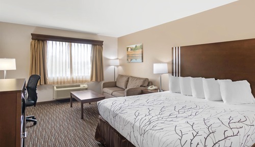 Standardzimmer, 1 King-Bett, Nichtraucher, Kühlschrank und Mikrowelle