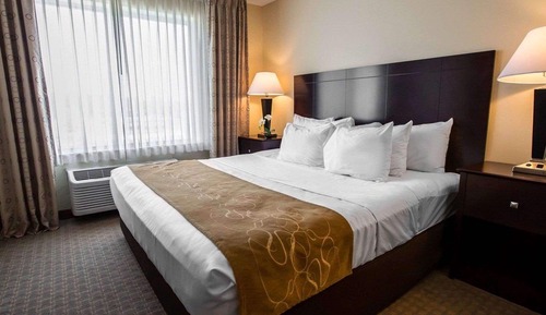 Suite, 1 King-Bett und Schlafsofa, Nichtraucher (Pet Friendly)