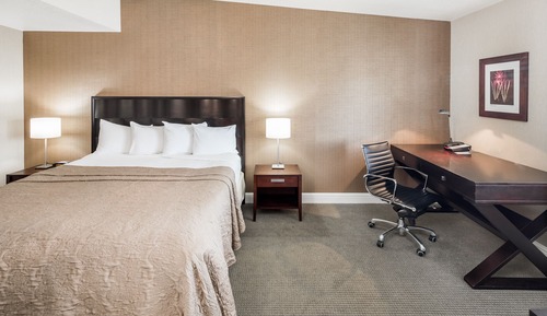 Executive-Suite, 1 King-Bett (King)