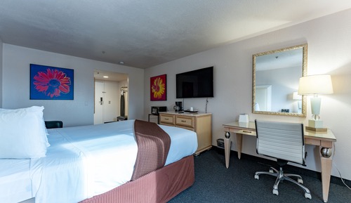 Business-Studiosuite