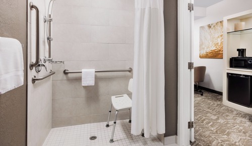 Suite, 1 King-Bett und Schlafsofa (Mobility Accessible, Roll-In Shower)