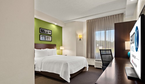 Business-Zimmer, 1 Queen-Bett, barrierefrei, Nichtraucher (Roll-In Shower)