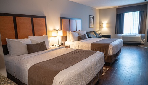 Superior-Zimmer (2 Queen Beds plus sofabed)