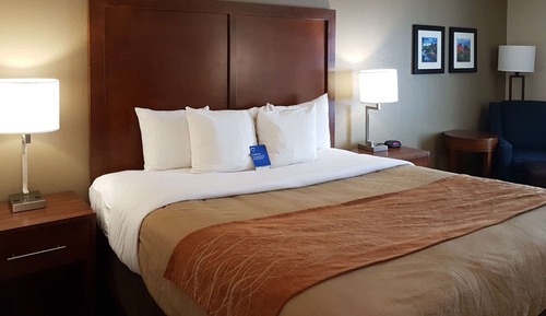 Standardzimmer, 1 Queen-Bett, barrierefrei, Nichtraucher (Walk In Shower)