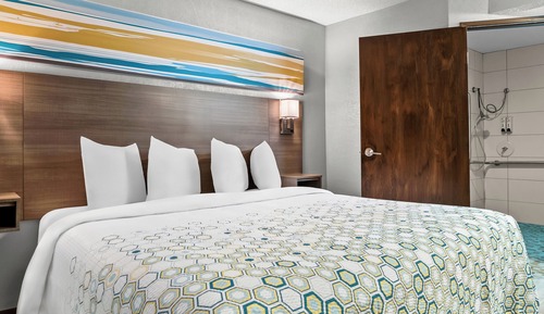 Studio, 1 King-Bett, barrierefrei, Nichtraucher (Roll-In Shower)