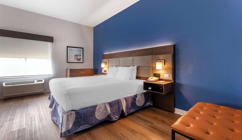 Standardzimmer, 1 King-Bett, Nichtraucher, Kühlschrank und Mikrowelle (Larger Room;with Sofabed)