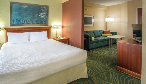 Suite, 1 King-Bett und Schlafsofa (Mobility/Hearing Access, Roll-In Shwr)