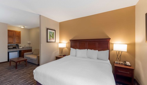 Executive-Zimmer, 1 King-Bett und Schlafsofa, Nichtraucher (with Sofabed)