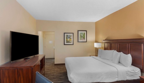 Standardzimmer, 1 King-Bett und Schlafsofa, barrierefrei, Nichtraucher (with Sofabed)