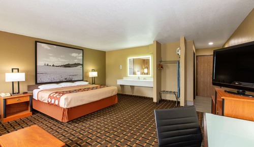 Studiosuite, 1 King-Bett, Nichtraucher