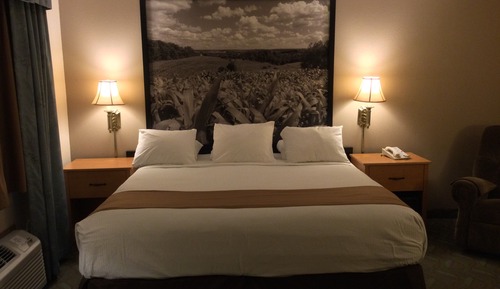 Suite, 1 King-Bett (Whirlpool)