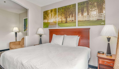 Zimmer, 1 King-Bett, Nichtraucher