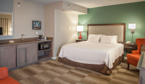 King bed, sofa bed, wet bar