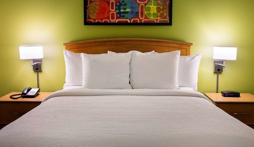 Suite, 1 Queen-Bett und Schlafsofa, barrierefrei (Mobility/Hearing One Bedroom)