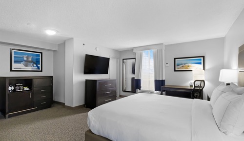 Studio, 1 King-Bett und Schlafsofa, Nichtraucher