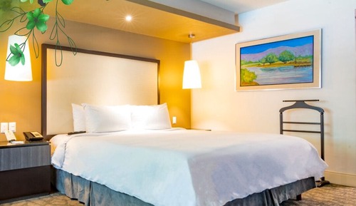 Deluxe-Zimmer, 1 King-Bett