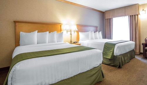 Zimmer, 2 Queen-Betten, Nichtraucher (Pet Friendly)