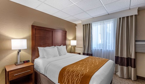 Standardzimmer, 1 Queen-Bett, barrierefrei, Nichtraucher (Transfer Shower)