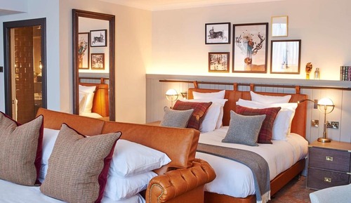 Premium-Zimmer, 1 King-Bett und Schlafsofa