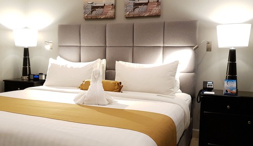 Premium-Zimmer, 1 King-Bett, Nichtraucher, Kühlschrank und Mikrowelle