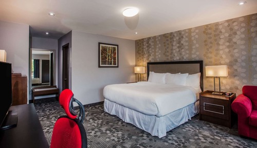 Deluxe-Studiosuite, 1 King-Bett, Nichtraucher