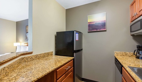 Efficiency Queen Non Smoking 2 person Sofabed