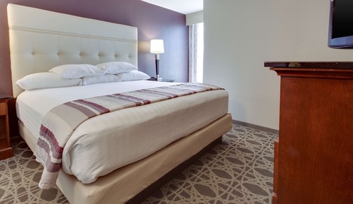 Suite, 1 King-Bett und Schlafsofa, Kühlschrank und Mikrowelle (2 Rooms)