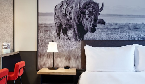 Studio, 1 King-Bett, Küche