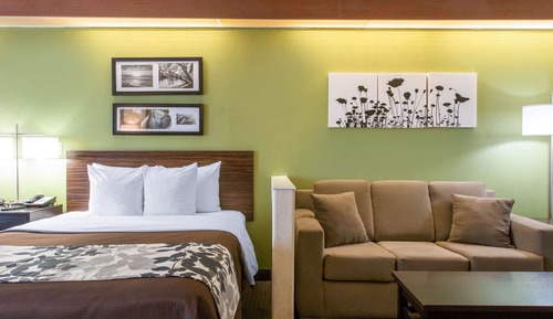 Suite, Mehrere Betten, Nichtraucher (2 Queen, 2 Person Sofa Bed)